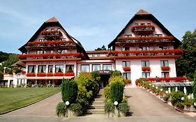 Hotel Des Vosges Boersch